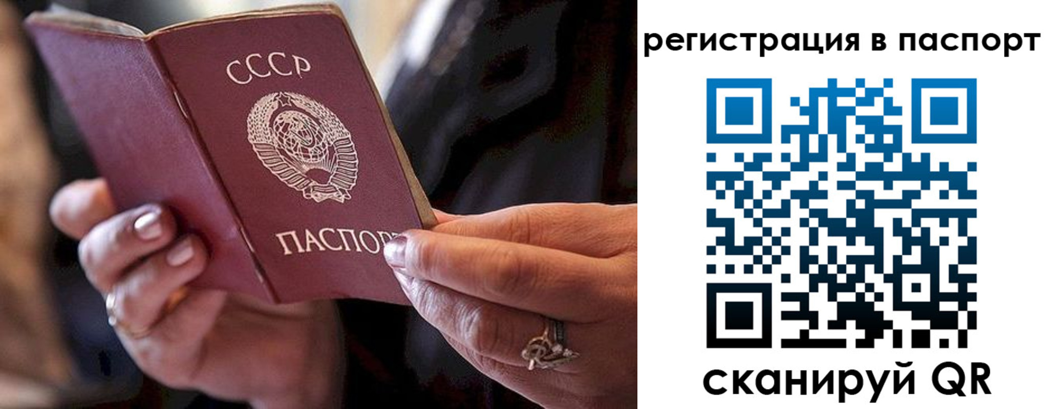 временная регистрация для всех в Брянской области